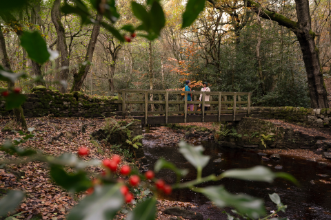 Das Foto zeigt zwei Frauen, die auf einer hölzernen Brücke im Wald miteinander sprechen.