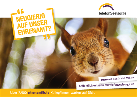 Das Plakat zeigt ein Eichhörnchen, dass Dich anblickt. Auf einem Störer links steht geschrieben: „Neugierig auf unser Ehrenamt?“. Rechts unten steht geschrieben: „Interesse? Schick eine Mail an: oeffentlichkeitsarbeit@telefonseelsorge.de“. Am unteren Rand steht geschrieben: „Über 7.500 ehrenamtliche Kolleg*innen warten auf Dich,“.