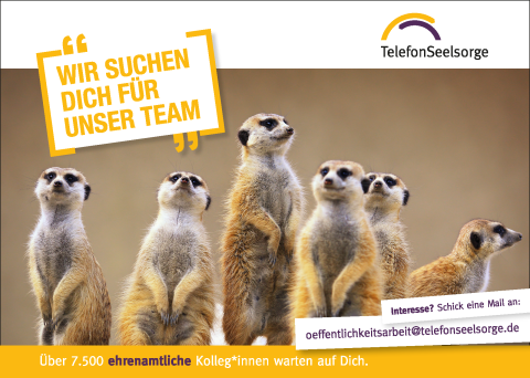 Das Plakat zeigt drei Erdmännchen. Auf einem Störer links steht geschrieben: „Wir suchen Dich für unser Team“. Rechts unten steht geschrieben: „ Interesse? Schick eine Mail an: oeffentlichkeitsarbeit@telefonseelsorge.de“. Am unteren Rand steht geschrieben: „Über 7.500 ehrenamtliche Kolleg*innen warten auf Dich,“.