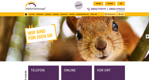 Das Bildschirmfoto zeigt die Webseite von www.telefonseelsorge.de