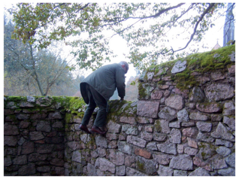 Das Foto zeigt einen älteren Mann, der gerade eine bemooste Mauer überspringt.